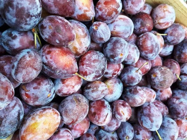 Prune 1kg