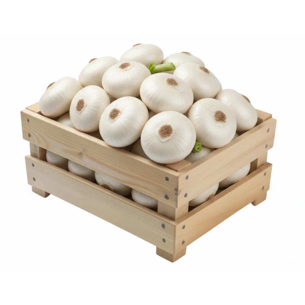 Oignons blanc (/kilos)