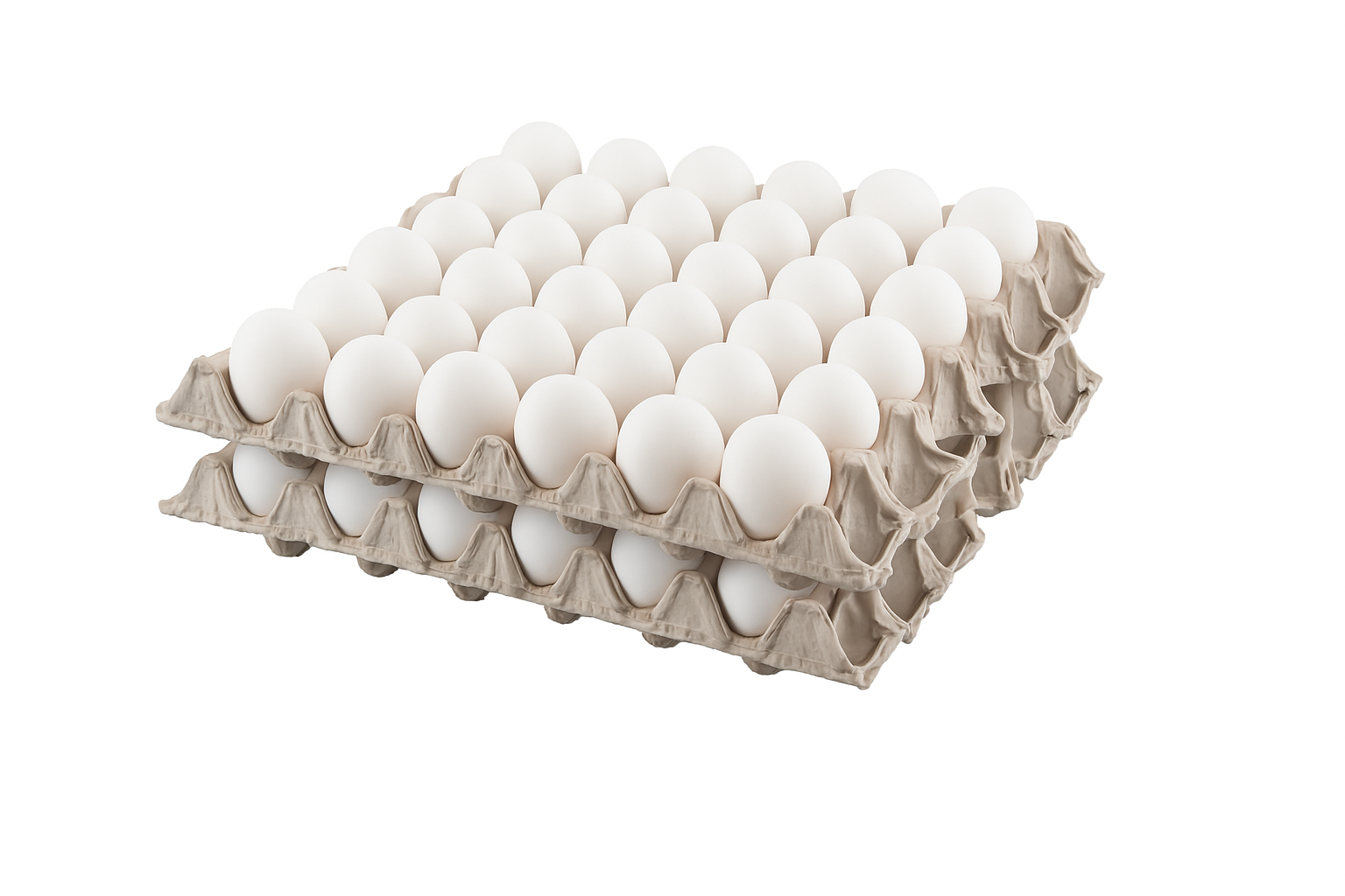 Tablette d'Oeufs de Poule 30 pieces