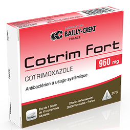 COTRIMOX FORT UBI 960MG 10BL10 — vue 1