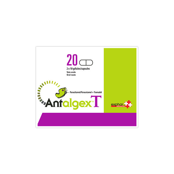 ANTALGEX GEL B/20 — vue 1