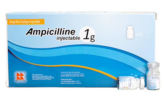 AMPICILLINE UBI 1G PDRE SOL INJ 7ML B/50 — vue 1