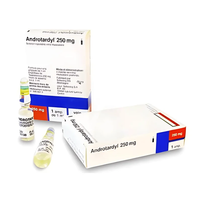 ANDROTARDYL 250MG IM 1ML BT1 — vue 1