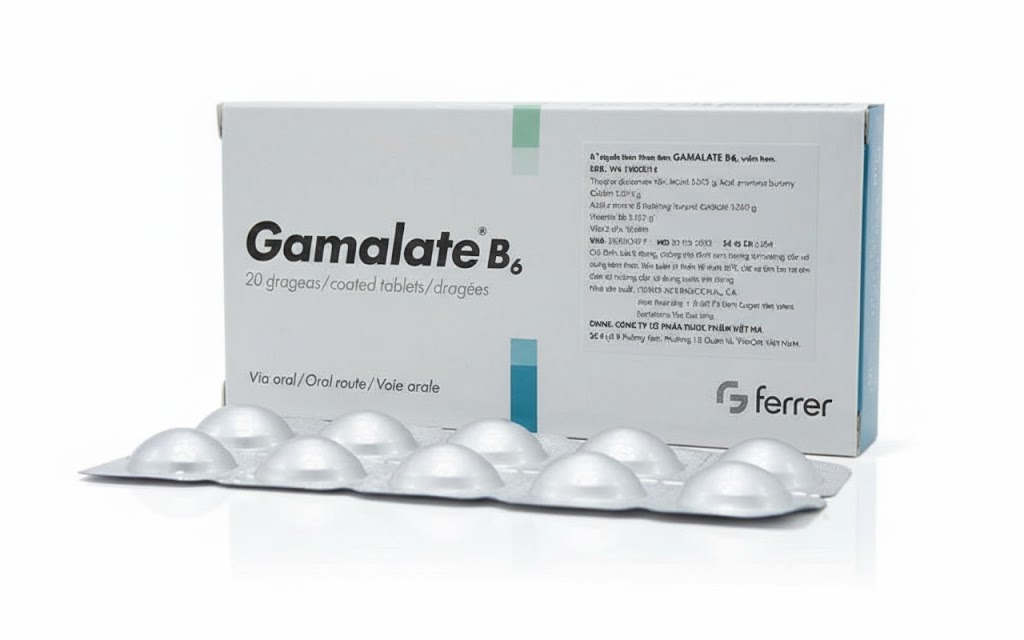 GAMALATE B6 COMP B/20 — vue 1