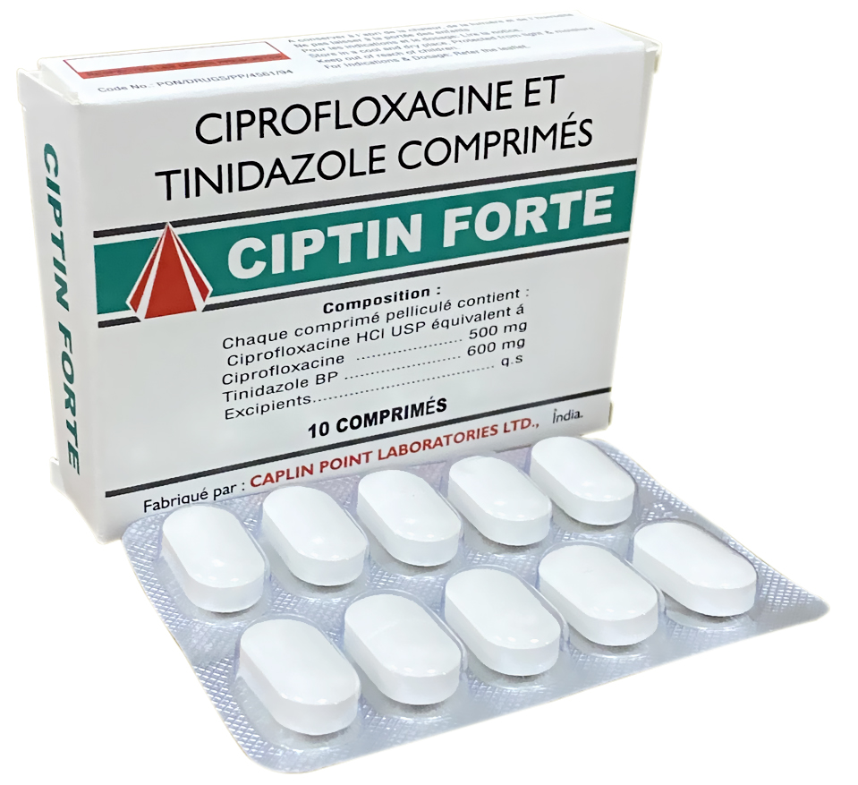 CIPTIN FORTE CP — vue 1