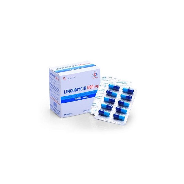 LINCOMYCINE CREAT 500MG GEL B/12 — vue 1