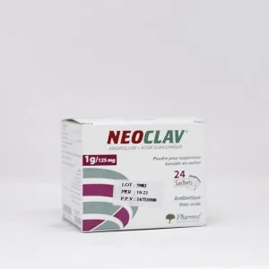 NEUCLAV 1G/125MG SUSP BUV B/16 — vue 1