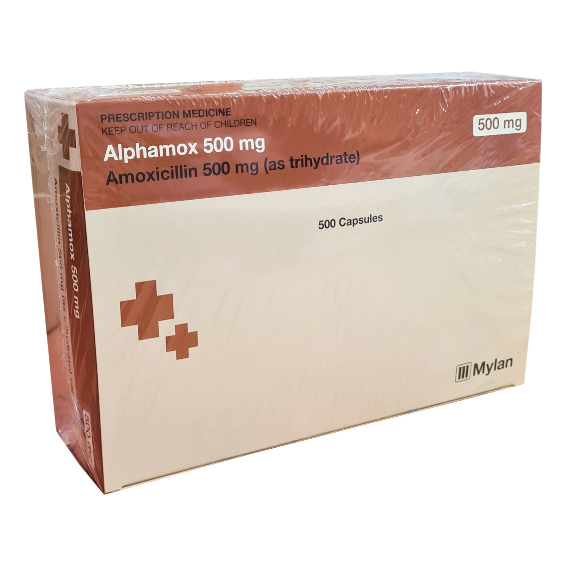 ALPHAAMOX 500MG SACHET B/14 — vue 1