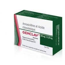 GENCLAV 250/31.25 — vue 1